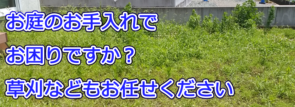 草刈り画像